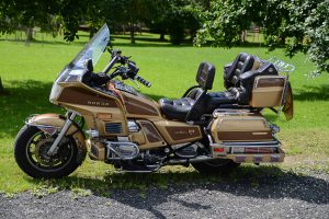 Gold Wing